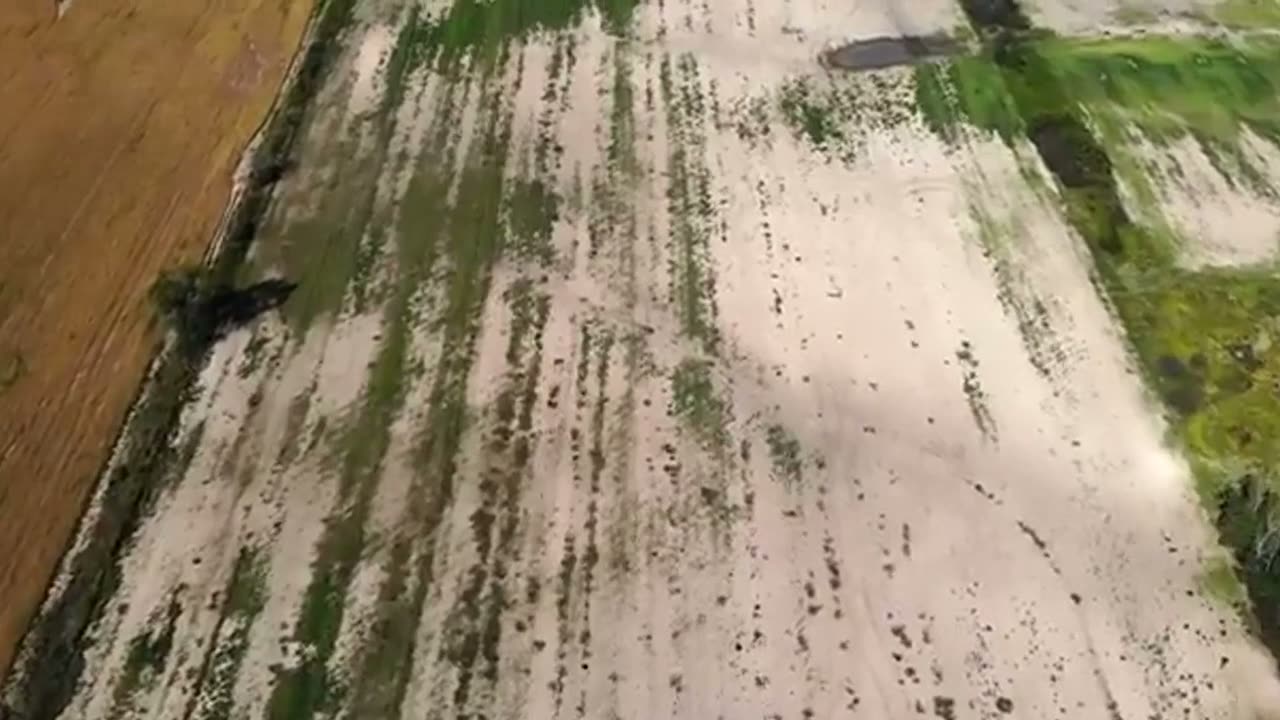 An aerial view of degraded, salt-crusted farmland with only thin streaks of green remaining.