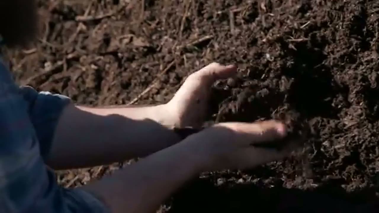 Hands cradling dark, crumbly living soil rich with organic matter.