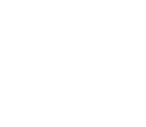 Soil Food Web Foundation