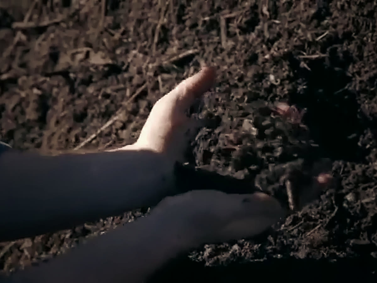 A hand lifting dark, crumbly living soil out of a bed of compost.